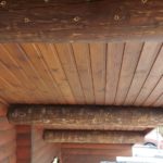 142863870_255568826232405_1312079089716910001_n